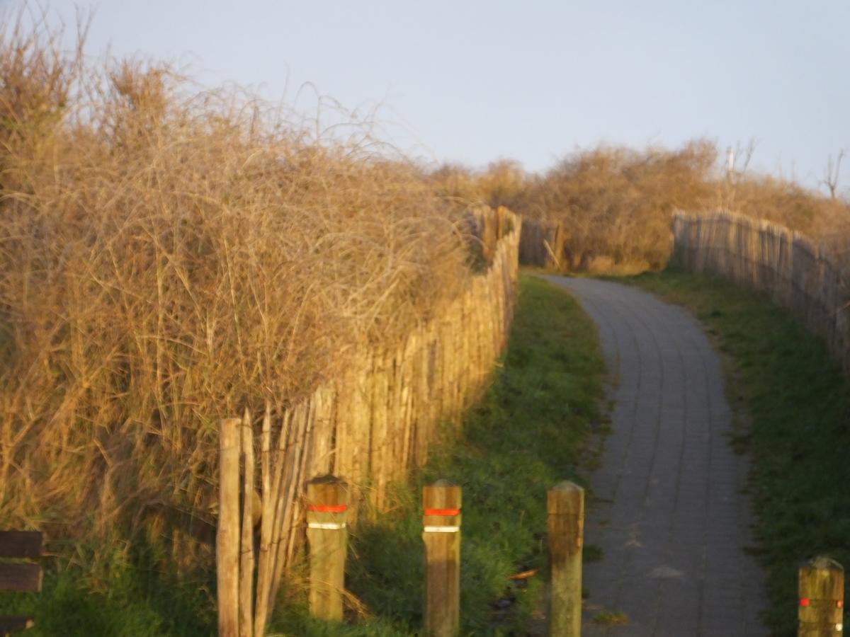 Sable D'O -Vlak Aan De Zee- Bed & Breakfast Mariakerke  Екстериор снимка